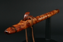 Champhor Burl Native American Flute, Minor, Mid G-4, #E41A